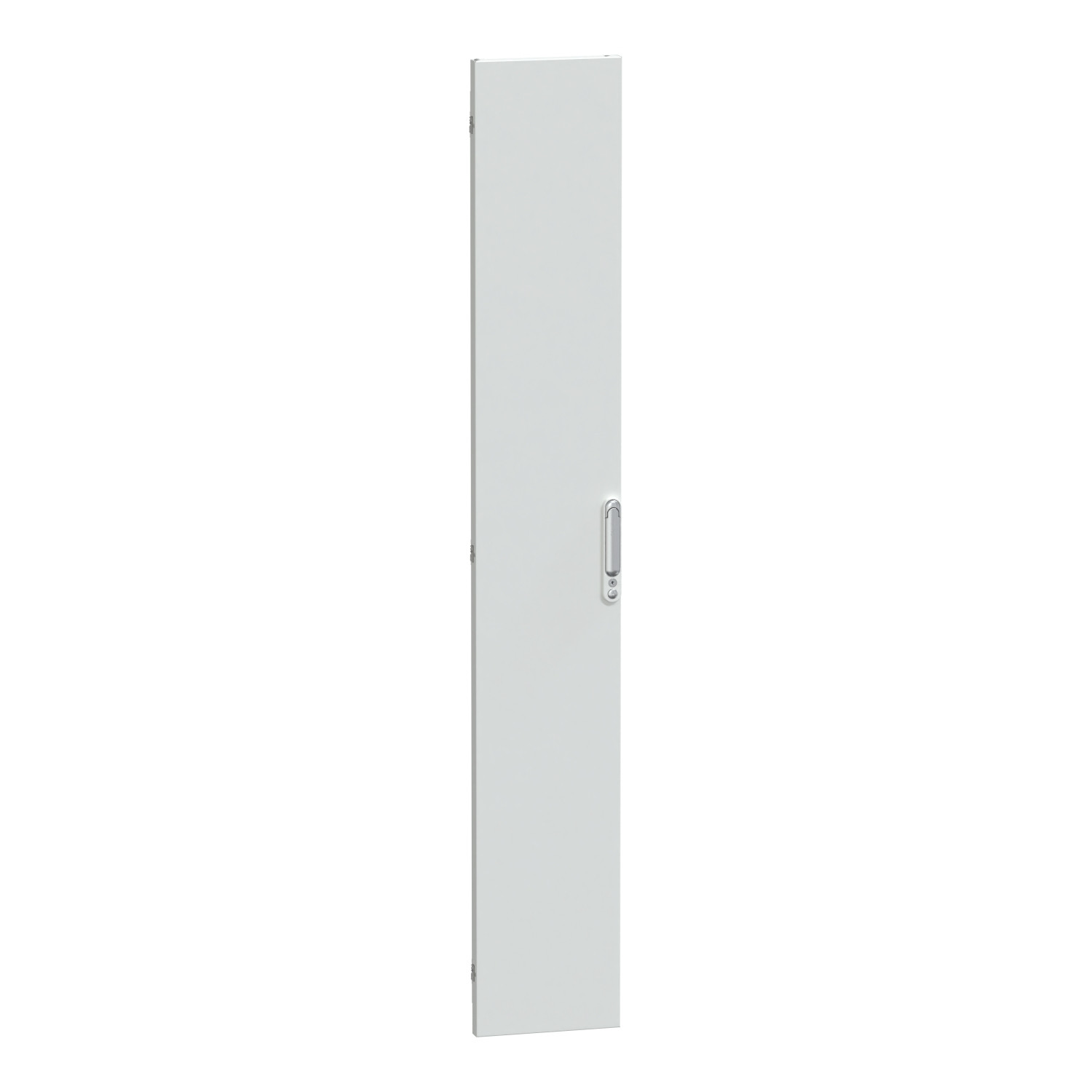 PORTE PLEINE IP55 W300