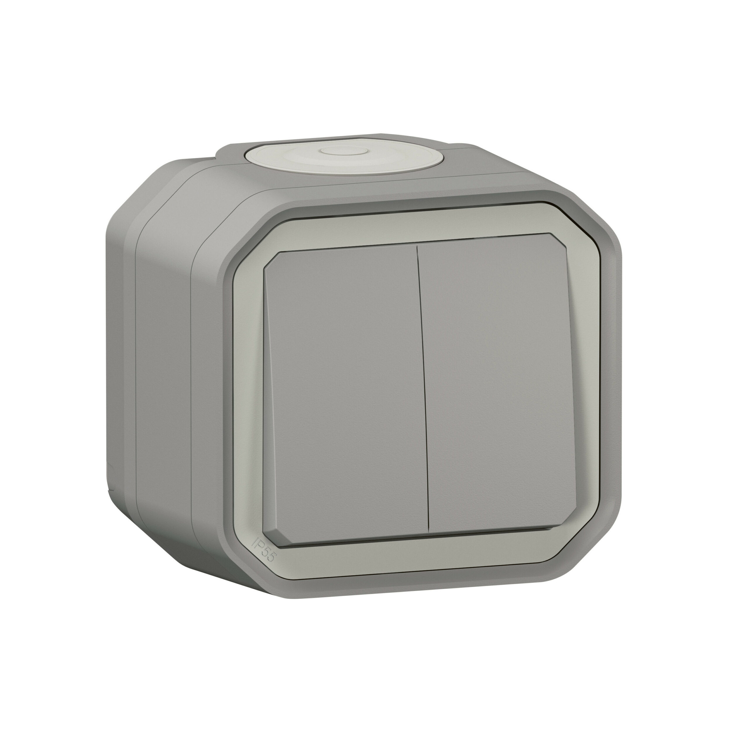 Commande double étanche pour réaliser 3 fonctions Plexo IP55 IK08 livrée complète pour fixation saillie – gris