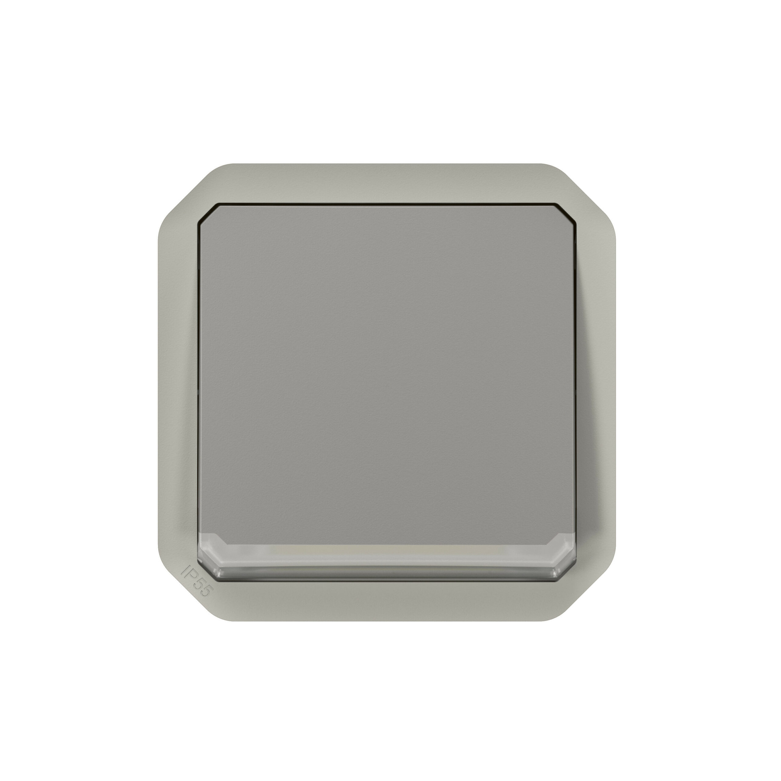 Interrupteur ou va-et-vient avec enjoliveur témoin avec voyant étanche Plexo 10AX 250V~ IP55 IK08 finition gris