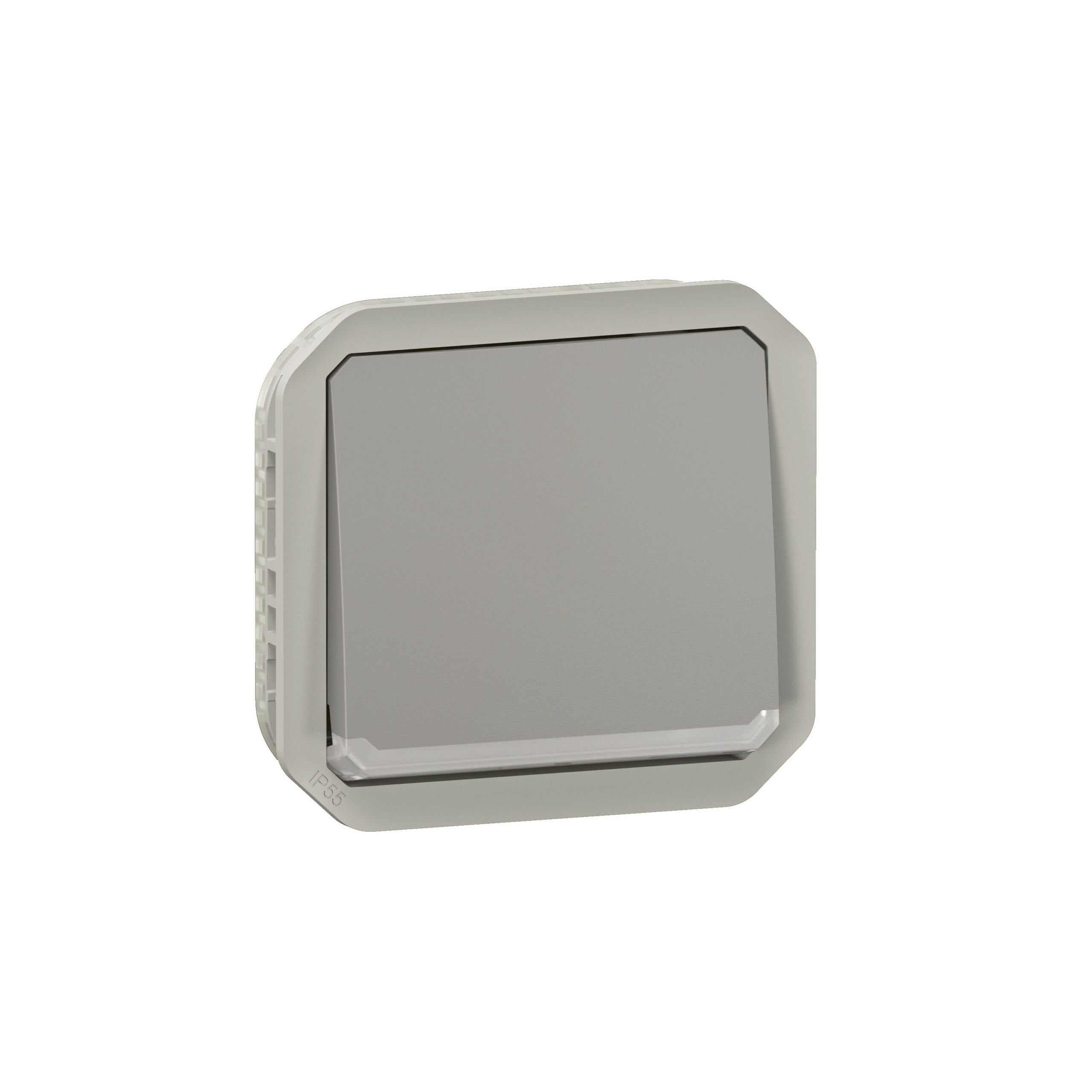 Interrupteur ou va-et-vient avec enjoliveur témoin avec voyant étanche Plexo 10AX 250V~ IP55 IK08 finition gris