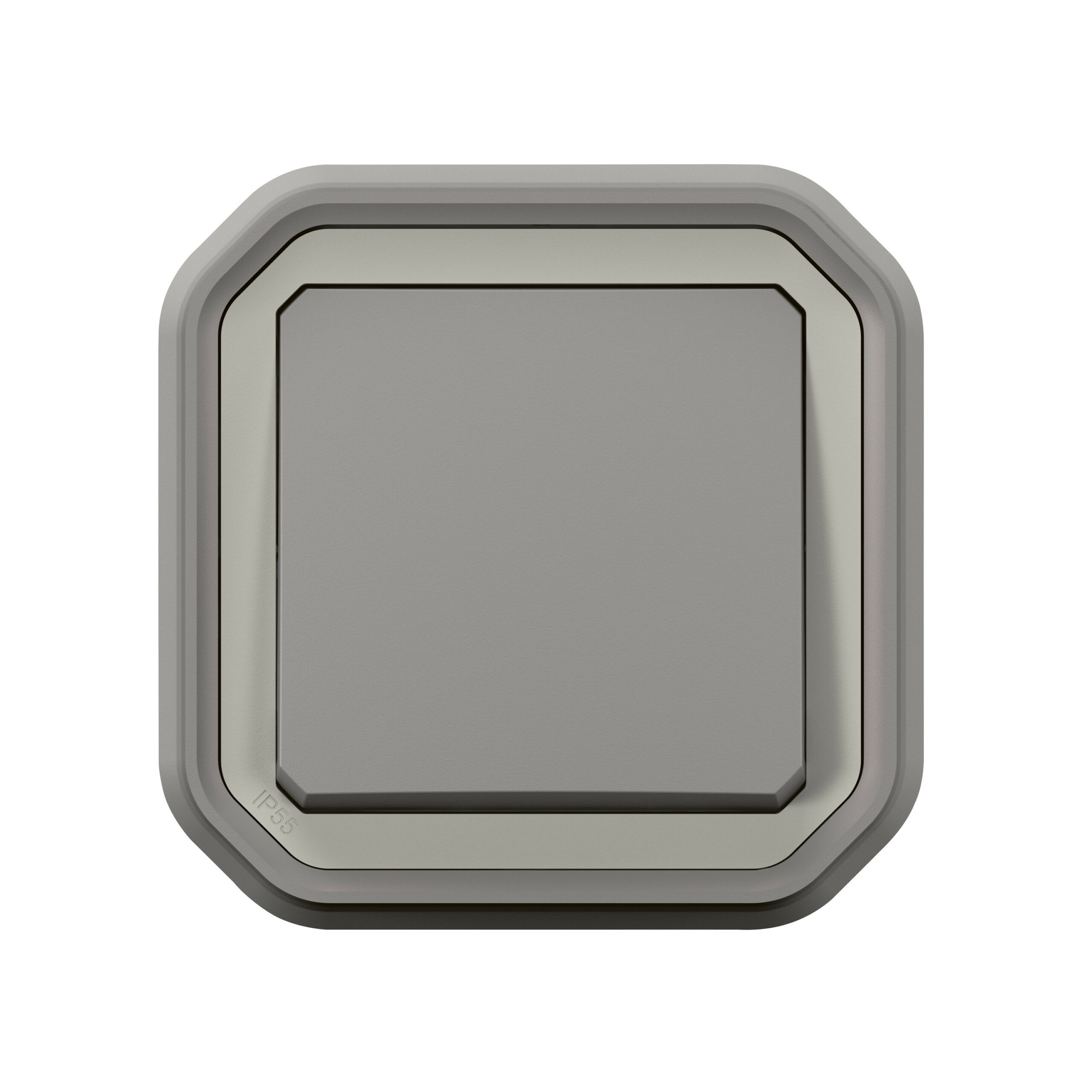 Interrupteur ou va-et-vient étanche Plexo 10AX 250V~ IP55 IK08 livré complet pour fixation en encastre – gris
