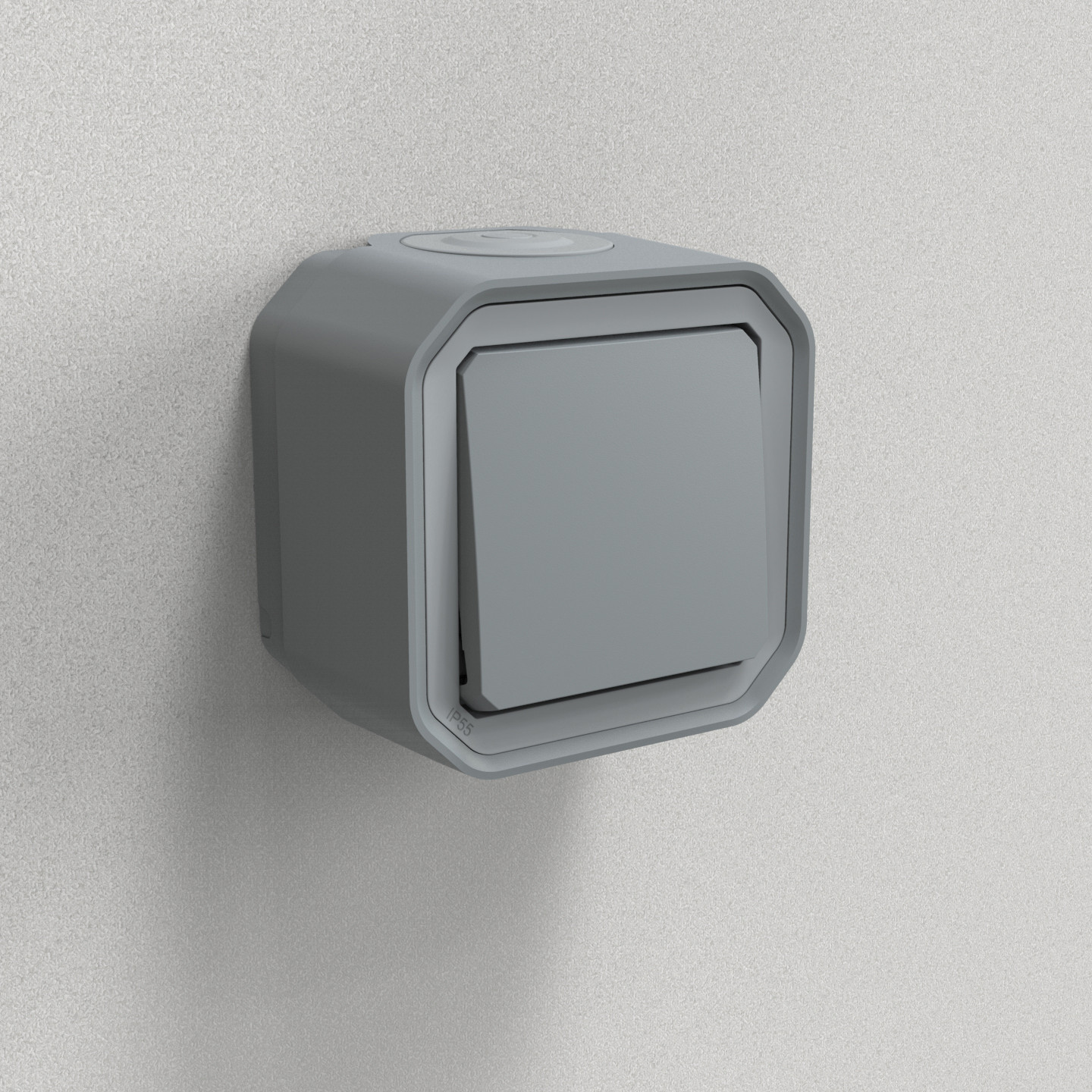 Interrupteur ou va-et-vient étanche Plexo 10AX 250V~ IP55 IK08 livré complet pour fixation saillie – gris