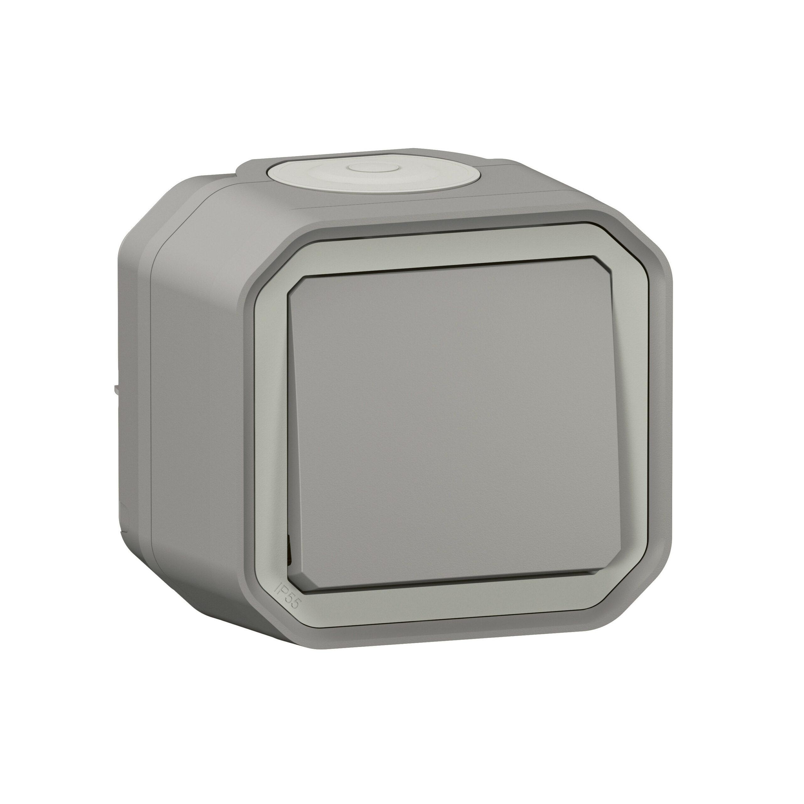 Interrupteur ou va-et-vient étanche Plexo 10AX 250V~ IP55 IK08 livré complet pour fixation saillie – gris