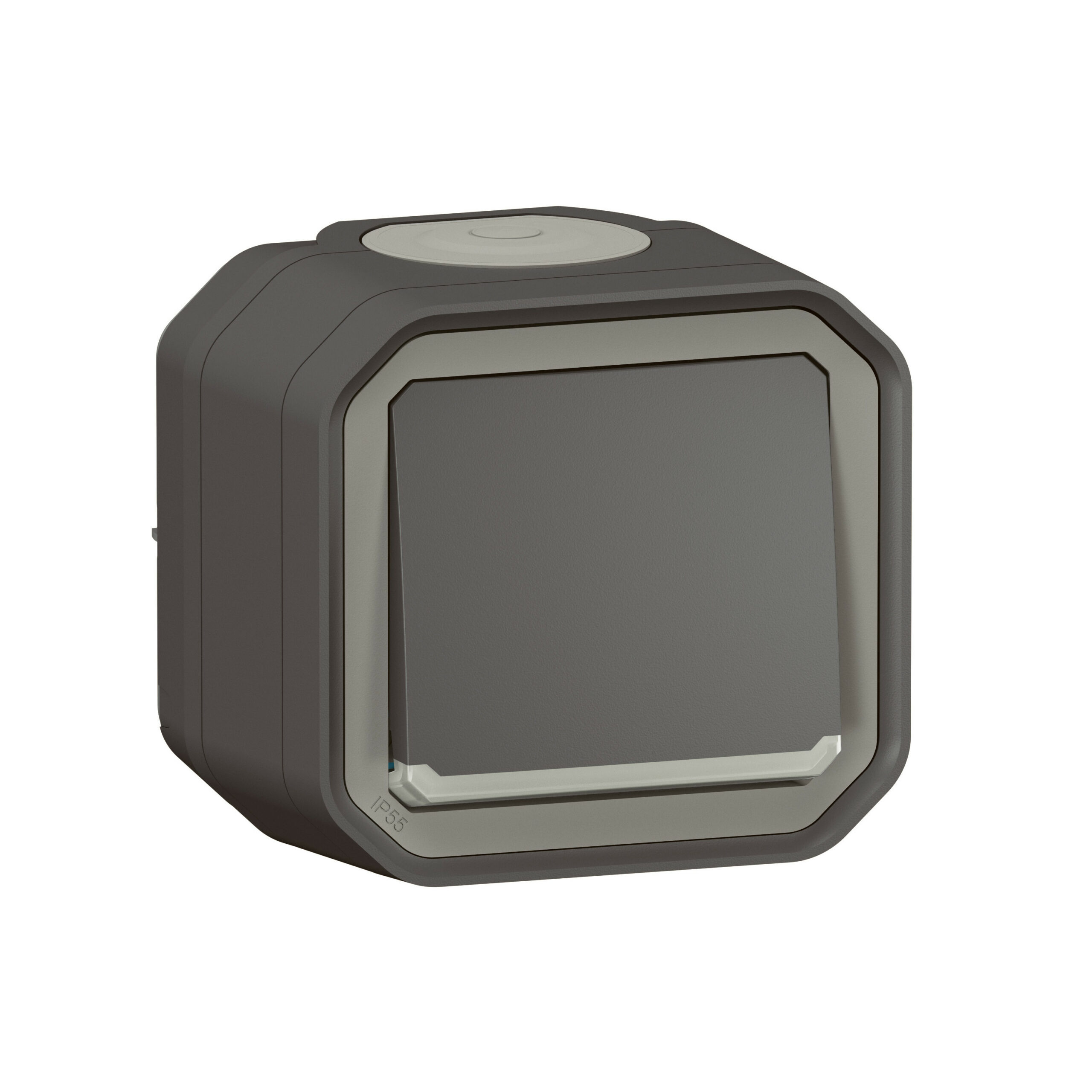 Interrupteur ou va-et-vient témoin avec voyant étanche Plexo 10AX 250V~ IP55 IK08 complet fixation saillie – anthracite