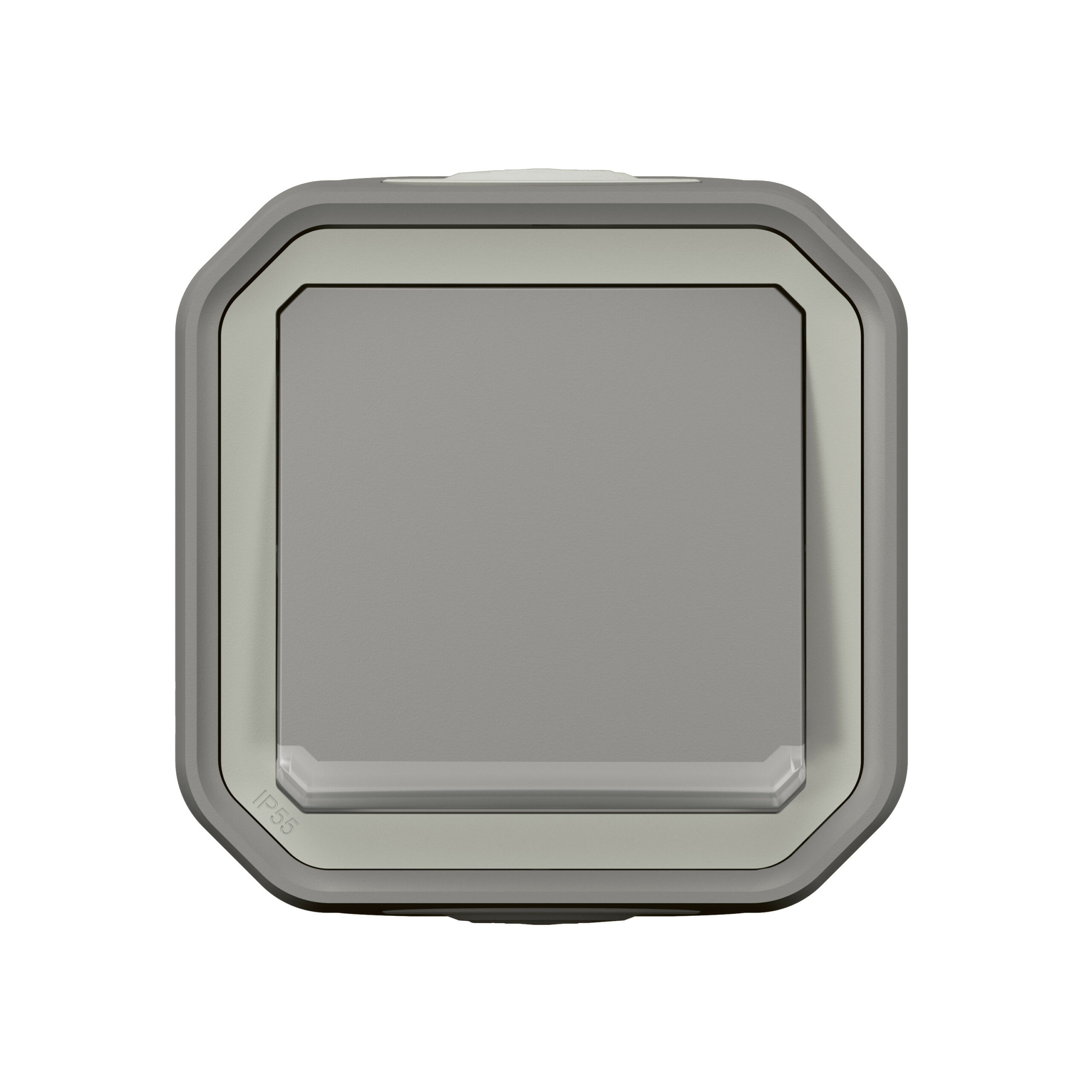 Interrupteur ou va-et-vient témoin avec voyant étanche Plexo 10AX 250V~ IP55 IK08 livré complet fixation saillie – gris
