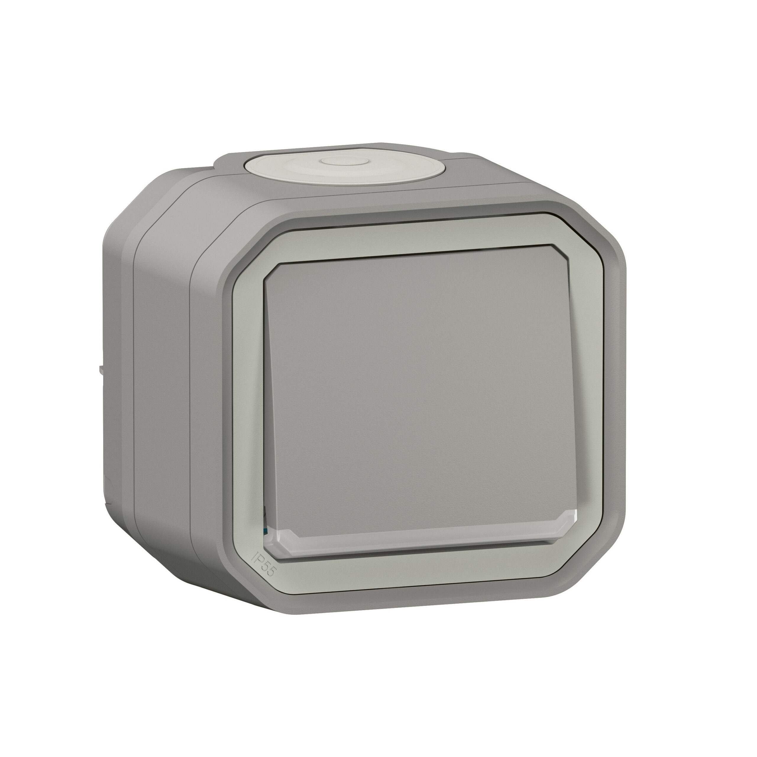 Interrupteur ou va-et-vient témoin avec voyant étanche Plexo 10AX 250V~ IP55 IK08 livré complet fixation saillie – gris