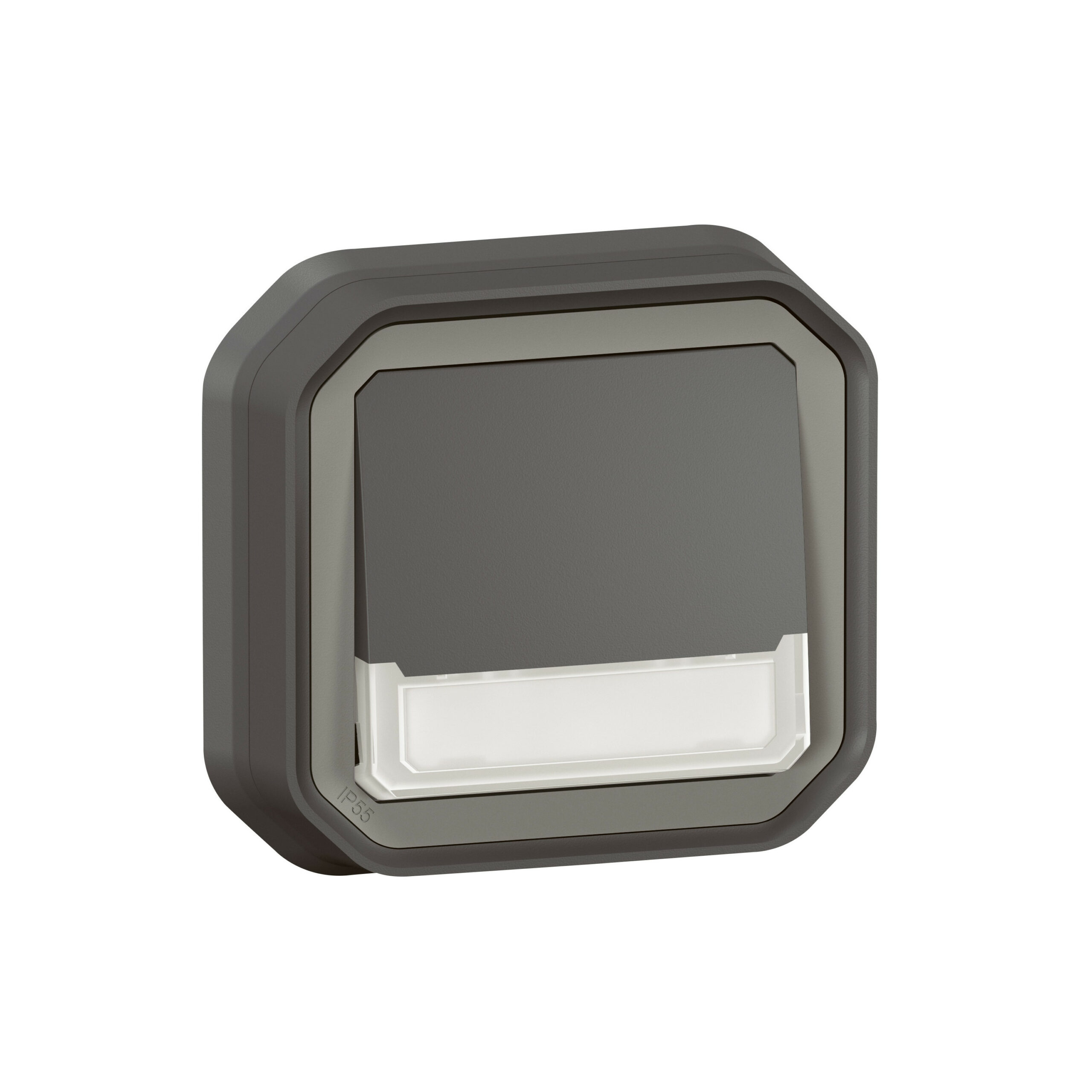 Poussoir NO-NF lumineux porte-étiquette avec voyant étanche Plexo 10A IP55 IK08 complet fixation encastré – anthracite