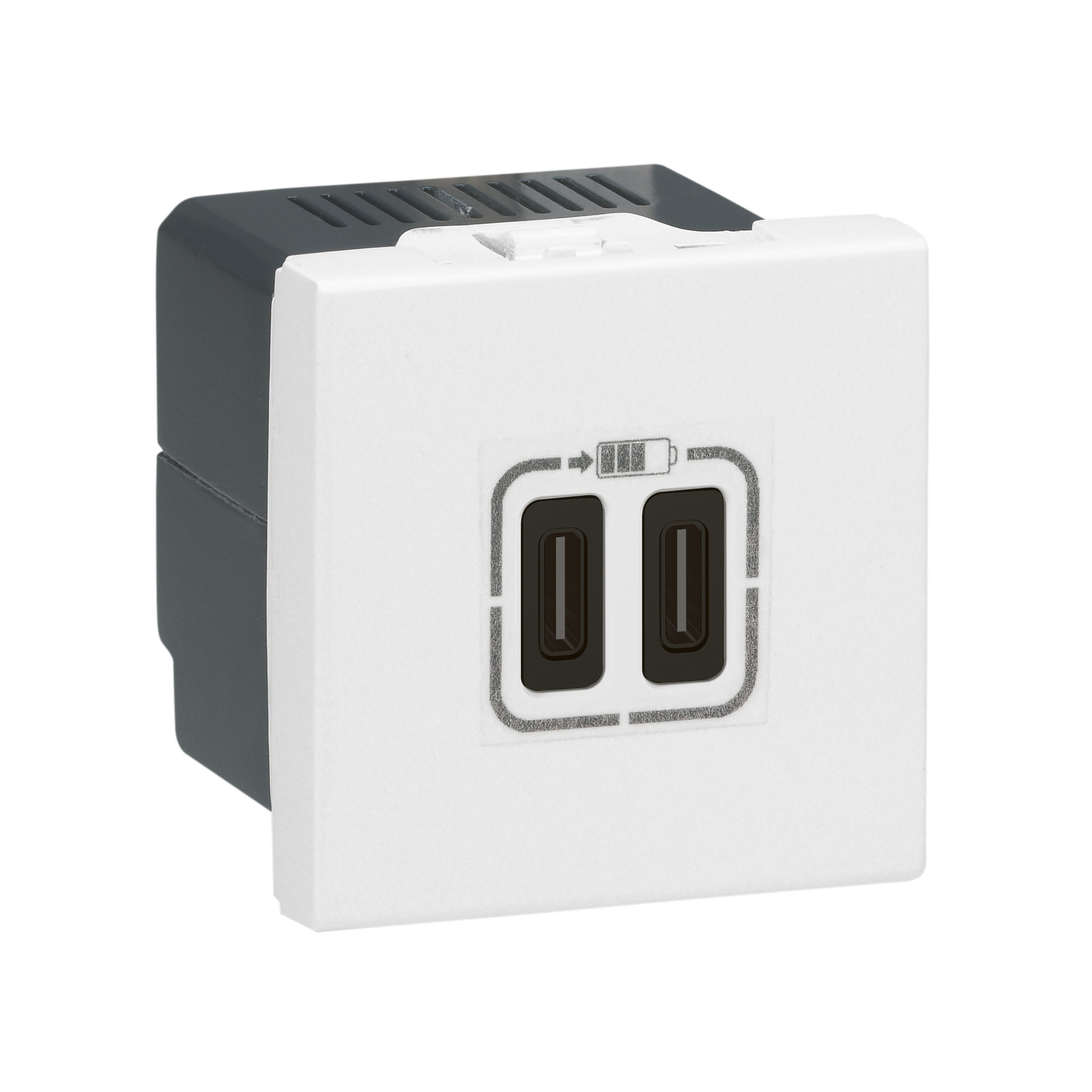 prise 2 USB Type-C 3A 5V 15W Mosaic 2 modules 230V – blanc